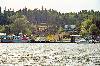 Bamfield