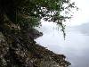 Grice Bay