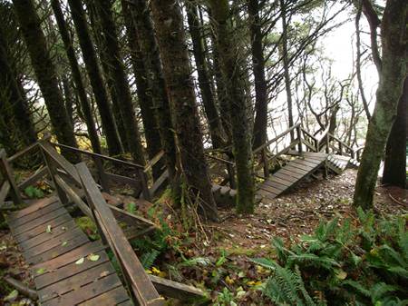 Staircase to Florencia Bay
