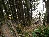 Staircase to Florencia Bay
