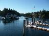 Snow in Bamfield