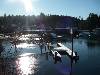Bamfield in Winter