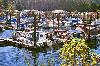 China Creek Marina