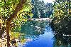 Stamp River