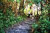 Hiking Trail 