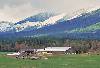 Alberni Valley Farm