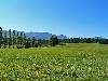 Farmland
