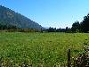 Alberni Valley Farmland