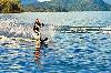 Waterskiing