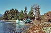 Grumann Goose on Sproat Lake